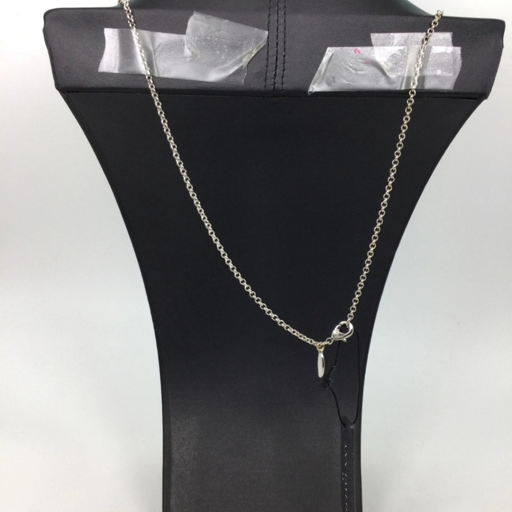 Ann Taylor Oval Locket Pendant Long Chain Necklace NWT - Picture 4 of 6
